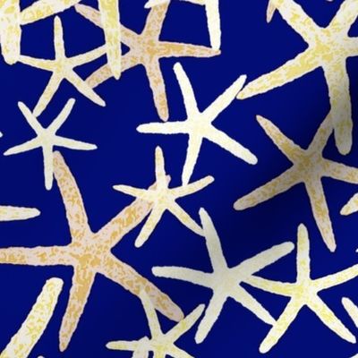 Starfish in White & Yellow Tones on Dark Blue