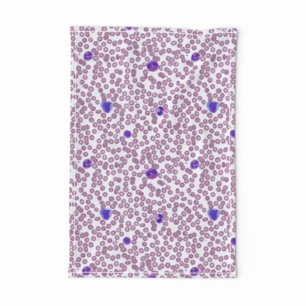 Wright-Stained Peripheral Blood, Normal