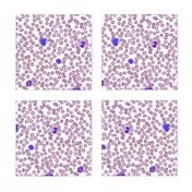 Wright-Stained Peripheral Blood, Normal