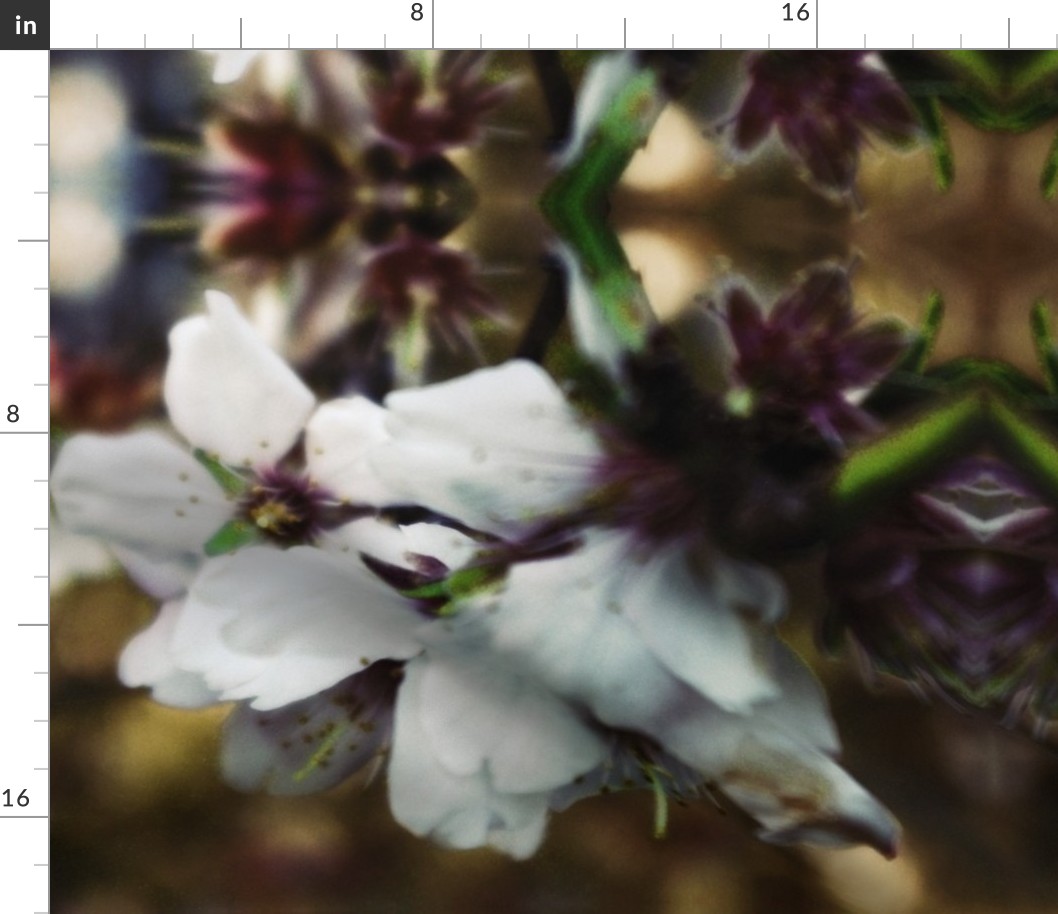 White Tree Blossoms