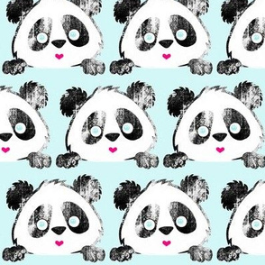 Panda Love Grunge on Aqua