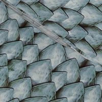 Silvery Dragon Scales