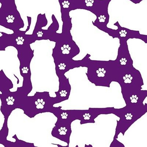 Pugs n Paws - Purple // Large