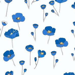 Blue_poppies