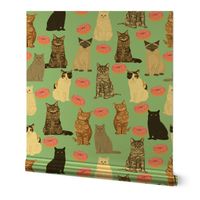 cats and donuts cat cute pet donuts donut food mint pink sweet cats 