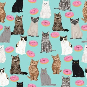 cats and donuts cat cute pet donuts donut food mint pink sweet cats 