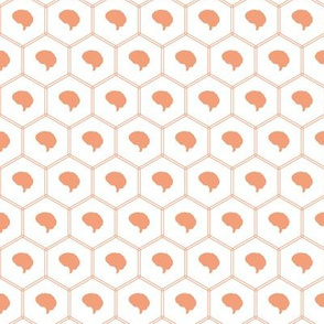 Honeycomb | Dark Salmon
