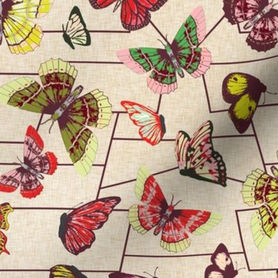 butterfly_chart_cherry