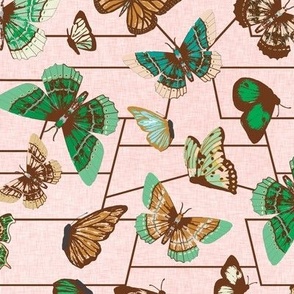 butterfly_chart_emerald