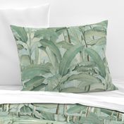 Lush Tropical Leaves