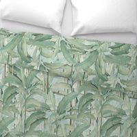 Lush Tropical Leaves