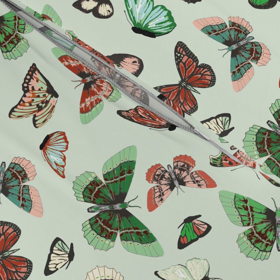 butterfly_study_mint