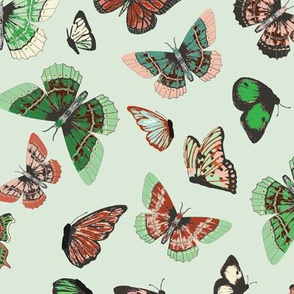 butterfly_study_mint