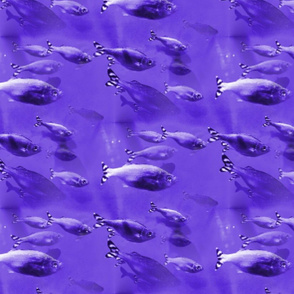 purple_big_fish