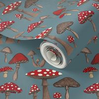 Mushroom Madness- Amanita Muscaria