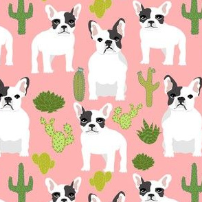 frenchies french bulldog cactus cacti cute funny dogs dog 