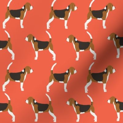 beagles beagle cute dog pet fabric pet dogs dog pets