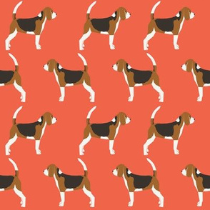 beagles beagle cute dog pet fabric pet dogs dog pets