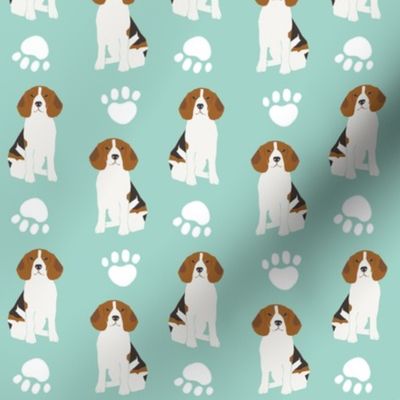 beagle beagles mint dog dogs cute pet dog sweet dogs animals pet owners