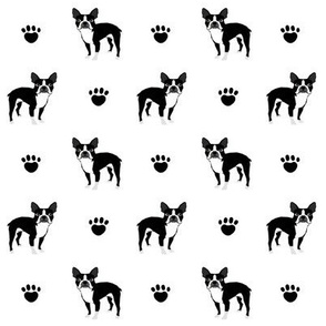boston terrier black and white baby kids nursery sweet dog dogs baby pet pets
