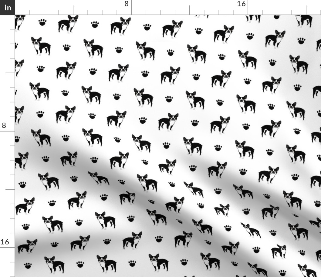 boston terrier black and white baby kids nursery sweet dog dogs baby pet pets