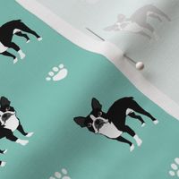 boston terrier mint kids dog dogs mint baby nursery sweet pets