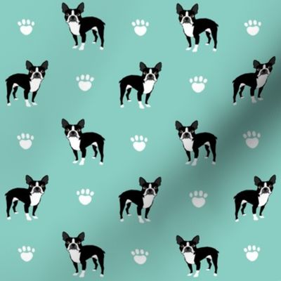 boston terrier mint kids dog dogs mint baby nursery sweet pets