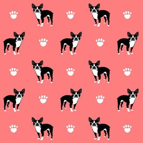 boston terrier dog dogs nursery baby coral paws paw print kids baby