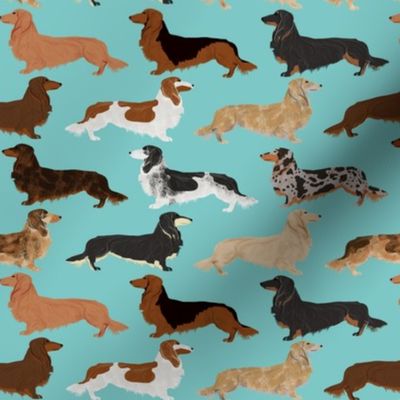 doxie dachshunds long haired long hair dachshund dogs pet dogs cute dog fabric for dog owners