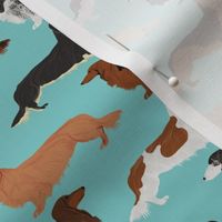 doxie dachshunds long haired long hair dachshund dogs pet dogs cute dog fabric for dog owners