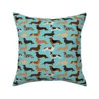 doxie dachshunds long haired long hair dachshund dogs pet dogs cute dog fabric for dog owners