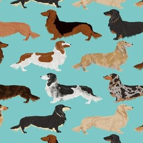 doxie dachshunds long haired long hair dachshund dogs pet dogs cute dog fabric for dog owners