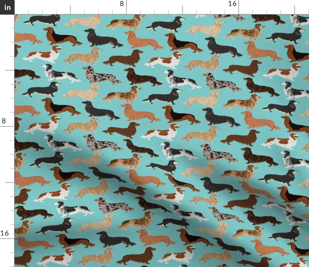 doxie dachshunds long haired long hair dachshund dogs pet dogs cute dog fabric for dog owners