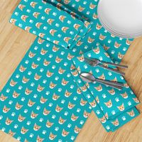 orange tabby cat cute cat cats kitten kitty cute paws turquoise cats cat lady