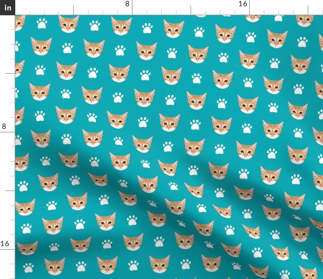 orange tabby cat cute cat cats kitten kitty cute paws turquoise cats cat lady