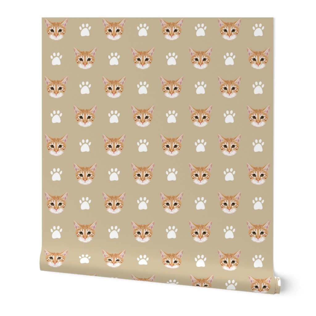 orange tabby cat kitten kitty cute cat cats paws print khaki neutral kitten