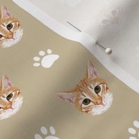 orange tabby cat kitten kitty cute cat cats paws print khaki neutral kitten