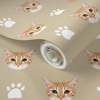 orange tabby cat kitten kitty cute cat cats paws print khaki neutral kitten