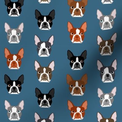 boston terriers blue faces cute dogs dog pet dog fabrics for dog lovers