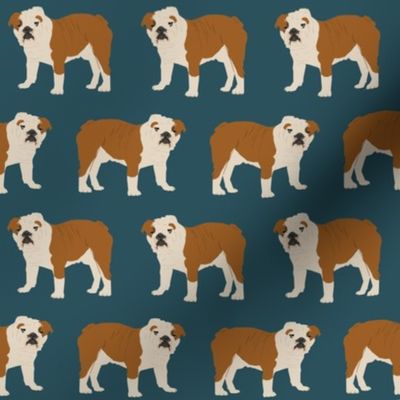 english bulldog pet dog navy blue dogs pet dog bulldogs cute wrinkly dog