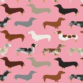 dachshund doxie wiener dog sausage dog weiner dogs cute pet dog fabric