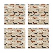 dachshund doxie dachshunds dogs dog pet dog cute dog pets fabric