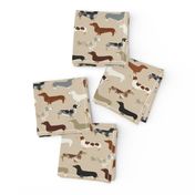 dachshund doxie dachshunds dogs dog pet dog cute dog pets fabric