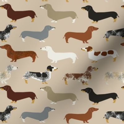 dachshund doxie dachshunds dogs dog pet dog cute dog pets fabric