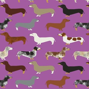 doxie // dachshunds purple dogs pet dog dog fabric cute wiener dog sausage dog fabrics