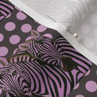 Black and Lavender Zebras on polka dot background