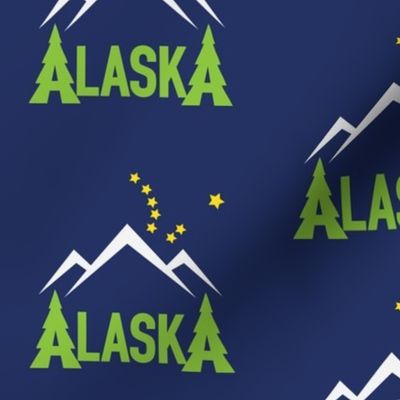 AlaskaMtnDipperDRK