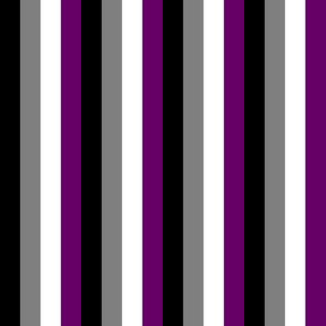 Ace Pride Stripes 1/2 inch (vertical)