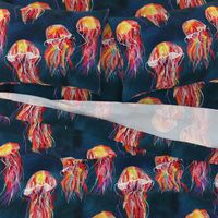  lion's mane jellyfish of ocean 