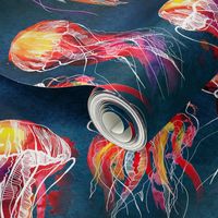  lion's mane jellyfish of ocean 